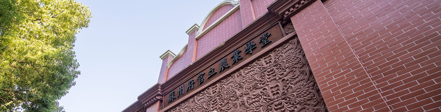 �D1